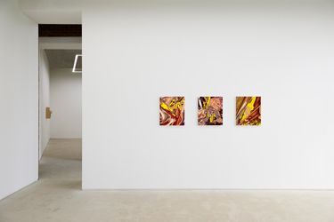 Exhibition view:  Anders Krisár & Jin Meyerson, TWO-FOLD, GALLERY2, Seoul (13 April–13 May 2023). Courtesy GALLERY2.