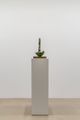 Fragment of Forgetting by Mark Manders contemporary artwork 3