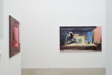 Exhibition view: Mircea Teleagă, The Hour Between Dog and Wolf, THEO, Seoul (23 March–19 April 2024). Courtesy THEO.
