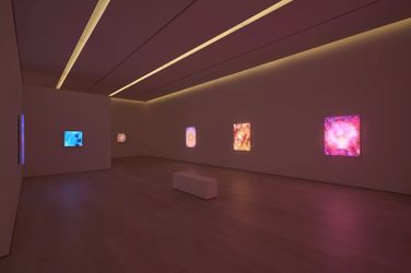 Exhibition view: Leo Villareal, Interstellar, Pace Gallery, West 25th Street, New York (17 March–29 April 2023). Courtesy Pace Gallery.