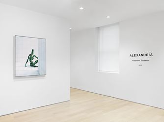 Exhibition view: Alejandro Cardenas, ALEXANDRIA, Almine Rech, New York (21 January–23 February 2021). Courtesy the Artist and Almine Rech. Photo: Dan Bradica.