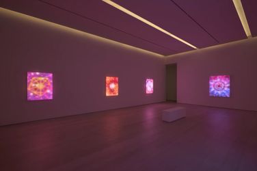 Exhibition view: Leo Villareal, Interstellar, Pace Gallery, West 25th Street, New York (17 March–29 April 2023). Courtesy Pace Gallery.