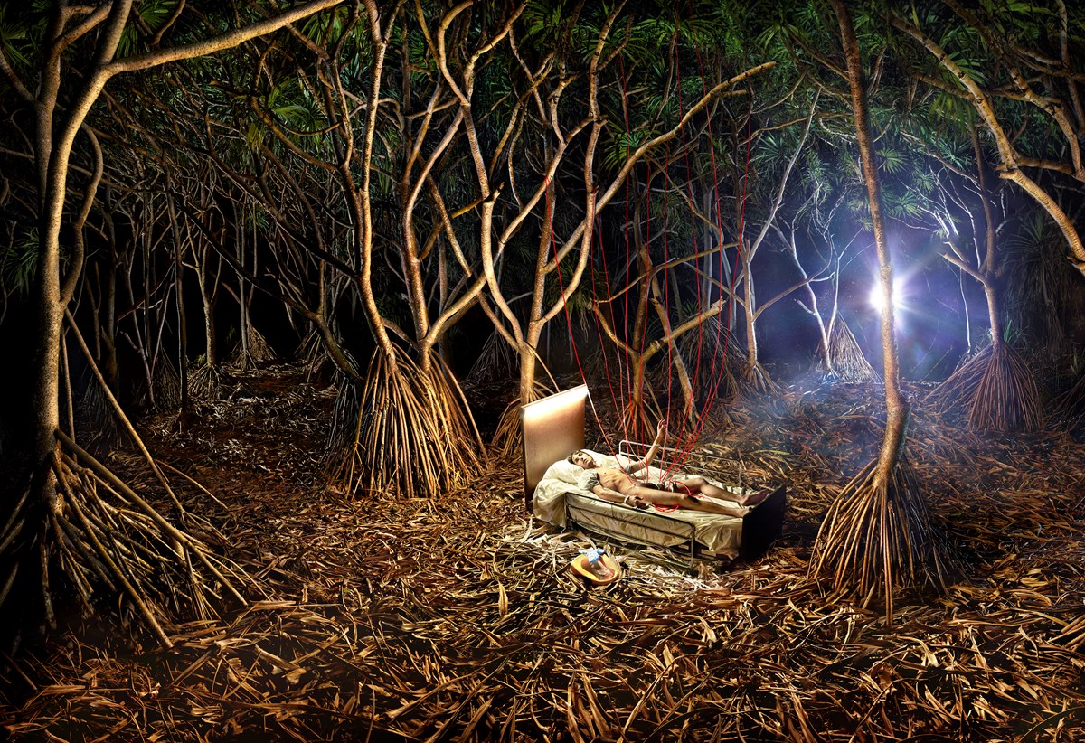 Træ konkurrence Gå igennem Reborn! Nature's Transfusion, 2014 by David LaChapelle | Ocula