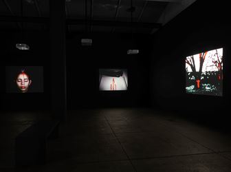 Exhibition view, Ana Mendieta, 'Experimental and Interactive Filmas', 2016, Galerie Lelong, New York.