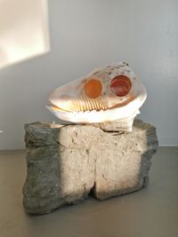 Molusce 7 by Raphael Danke contemporary artwork sculpture