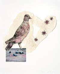 Bird with stars by Kiki Smith contemporary artwork painting, works on paper, photography, mixed media
