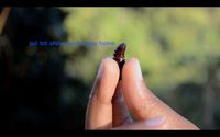 Toli Toli by Minia Biabiany contemporary artwork moving image