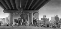 ‘Underpass with Elephants’, Inherit The Dust, Kenya by Nick Brandt contemporary artwork photography, print
