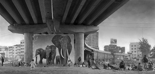 ‘Underpass with Elephants’, Inherit The Dust, Kenya by Nick Brandt contemporary artwork