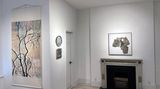 Contemporary art exhibition, Group Exhibition, Landscape as Metaphor: Contemporary Voices at Alisan Fine Arts, New York, United States