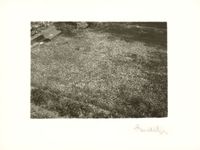 Untitled (Garden with Field of Flowers and Park) by Josef Sudek contemporary artwork photography