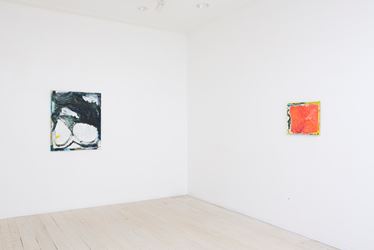 Exhibition view: Teelah George, A Soft Gap, Gallery 9, Sydney (21 February–17 March 2018). Courtesy Gallery 9, Sydney. 