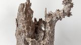 Contemporary art exhibition, Setsuko Klossowska De Rola, Into the Trees at Gagosian, rue de Ponthieu, Paris, France