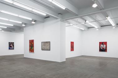 Exhibition view: Roe Ethridge, American Spirit, Andrew Kreps Gallery, New York (23 February–8 April 2018). Courtesy Andrew Kreps Gallery, New York.