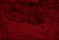 Łichíí IV (Red) by Dakota Mace contemporary artwork works on paper, photography, print, mixed media