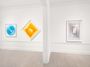 Contemporary art exhibition, Alberto Biasi, Dinamica Ecologica at Cardi Gallery, London, United Kingdom
