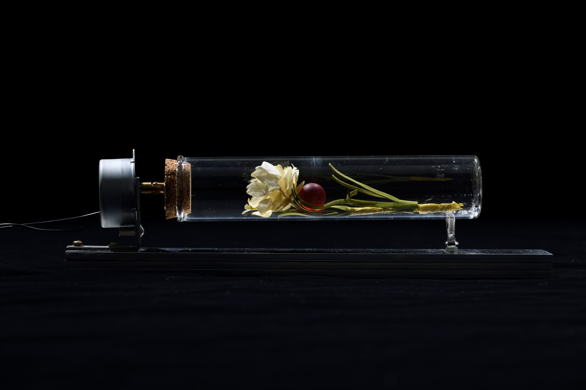 revolution & gravity (artificial flower & glass ball), 2018 by Yukio