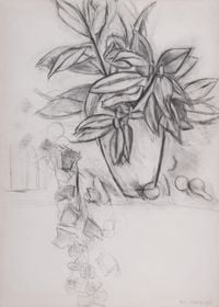 Nature morte au lierre by Henri Matisse contemporary artwork drawing
