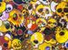 Takashi Murakami: Flowers and Skulls