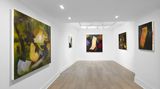 Contemporary art exhibition, Elise Ansel, Some of its Parts at Cadogan Gallery, London, United Kingdom