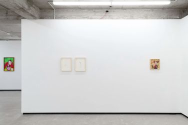 Exhibition view: Priscilla Rose Howe, Roosting, Jhana Millers, Wellington (8 June–1 July 2023). Courtesy Jhana Millers.