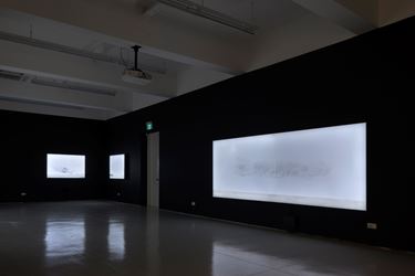 Exhibition view: Robert Zhao Renhui, The Lines We Draw, ShanghART, Singapore (15 January–30 August 2020). Courtesy ShanghART.