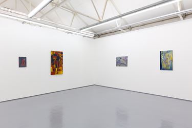 Exhibition view: Alastair Mackinven and Behrang Karimi, Maureen Paley, London (27 February–31 March 2019). © Behrang Karimi. Courtesy Maureen Paley.