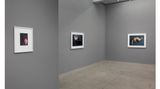 Contemporary art exhibition, Thomas Struth, New Works at Marian Goodman Gallery, New York, United States