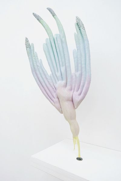 Paradise Bird Sunset by Caroline Rothwell contemporary artwork