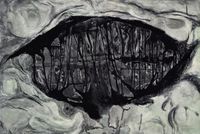 The Veiled and The Unveiled #1 by Haesun Jwa contemporary artwork works on paper, drawing