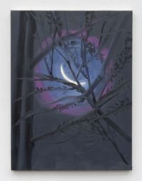 Moon (Through Branches, White Street, 2-24-22, 12:30 AM) by Ann Craven contemporary artwork painting