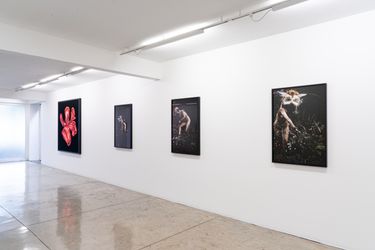 Exhibition view: Group Exhibition, In Waiting: Works produced in isolation, Galeria Nara Roesler, São Paulo (9 December 2020–7 February 2021). Courtesy Galeria Nara Roesler. Photo: © Erika Mayumi.