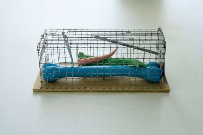 Bone Trap by Marten Schech contemporary artwork