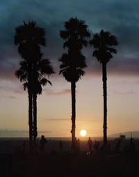 Sunset Boulevard, Venice Beach, California by Francesco Jodice contemporary artwork photography