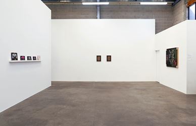 Exhibition view: Sanjay Theodore, A Dictionary of Sanjay's Modern Painting, Jonathan Smart Gallery (8 February–9 March 2019). Courtesy Jonathan Smart Gallery.