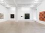 Contemporary art exhibition, Daniel Boyd, Dreamland at Marian Goodman Gallery, New York, United States