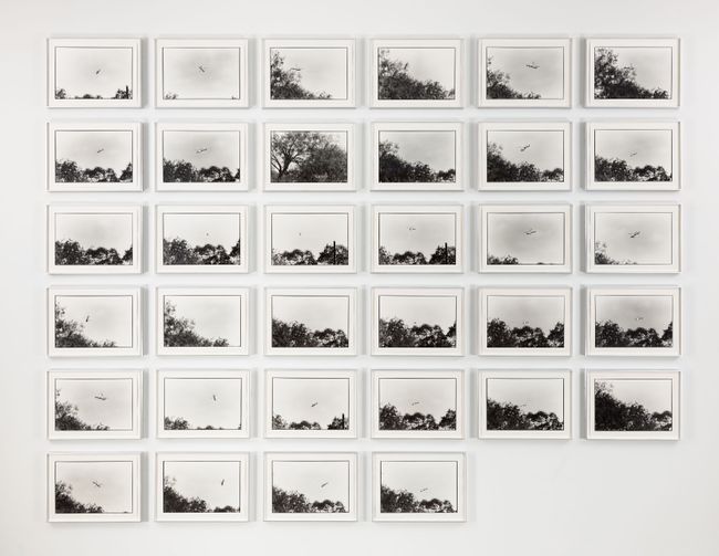 Untitled (passage from Al Río/To the River #3) by Zoe Leonard contemporary artwork
