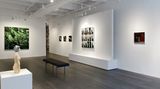 Contemporary art exhibition, Alex Kanevsky, Postcards from a Closet at Hollis Taggart, New York L1, United States