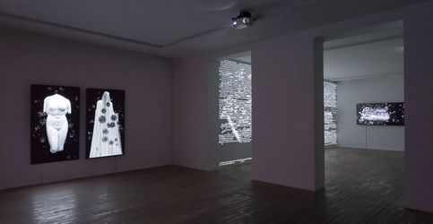 Charles Sandison, Arcadia (2021). Multi-channel data projection installation, computers, C++ code. Duration infinite. Courtesy HdM Gallery, Beijing.