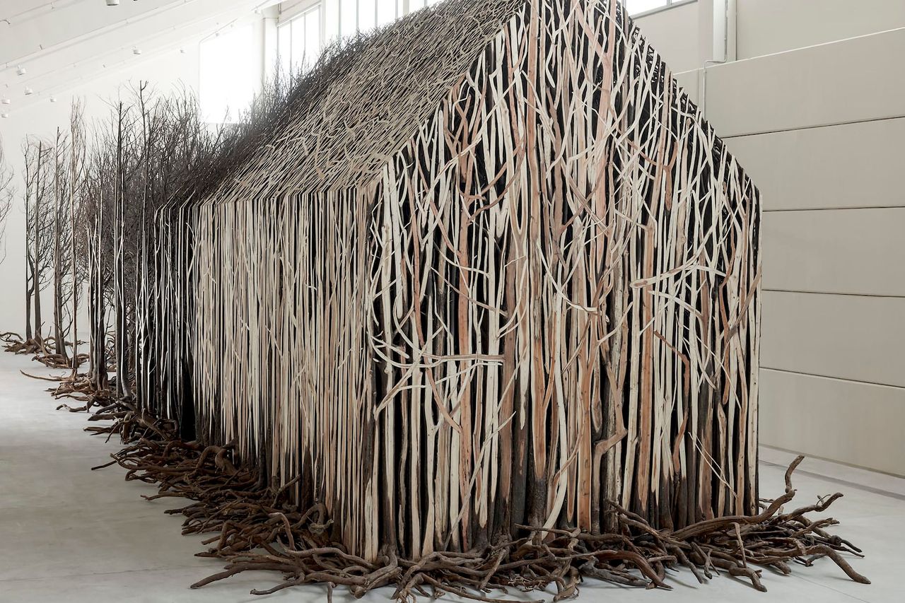 Doris Salcedo ドリス サルセド Contemporary 作品集 DORIS SALCEDO：ドリス・サルセドの販売・通販 | OIL