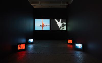 Carolee Schneemann, Further Evidence - Exhibit B, 2016, Exhibition views. Courtesy PPOW and Galerie LeLong.