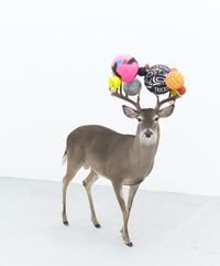 Can you smell maths? (Pink deer) by Gabriel Rico contemporary artwork sculpture