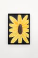 portrait of a sunflower by Andrew Sim contemporary artwork 1