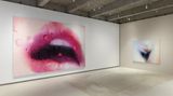 Contemporary art exhibition, Marilyn Minter, Marilyn Minter at LGDR, New York Madison, USA