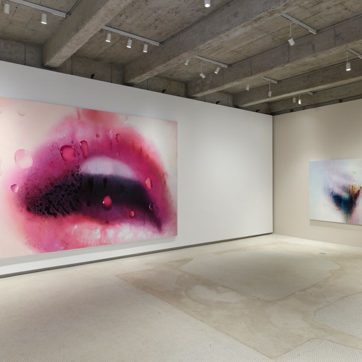 Marilyn Minter アートブック Marilyn Minter: Burton, Johanna, Higgs, Matthew, Minter