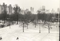 Central Park Cityscape by Frank Paulin contemporary artwork photography