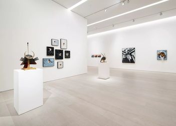 Exhibition view: Glenn Kaino, Walking with a tiger, Pace Gallery, 540 West 25th St, New York (12 January–24 February 2024). Courtesy Pace Gallery.