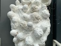 OM by Fu Xiaotong contemporary artwork sculpture