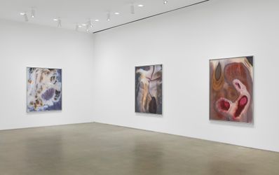 Exhibition view: Anicka Yi, ÄLñ§ñ, Gladstone Gallery, New York (6 October 2022–12 November 2022). Courtesy Gladstone Gallery.