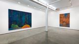 Contemporary art exhibition, Behrang Karimi, Alastair MacKinven, Alastair Mackinven and Behrang Karimi at Maureen Paley, London, United Kingdom